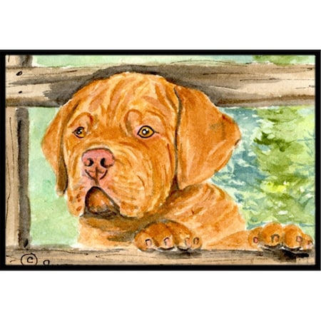 Carolines Treasures Dogue de Bordeaux Indoor Outdoor Mat - 18 x 27 in. CA79207